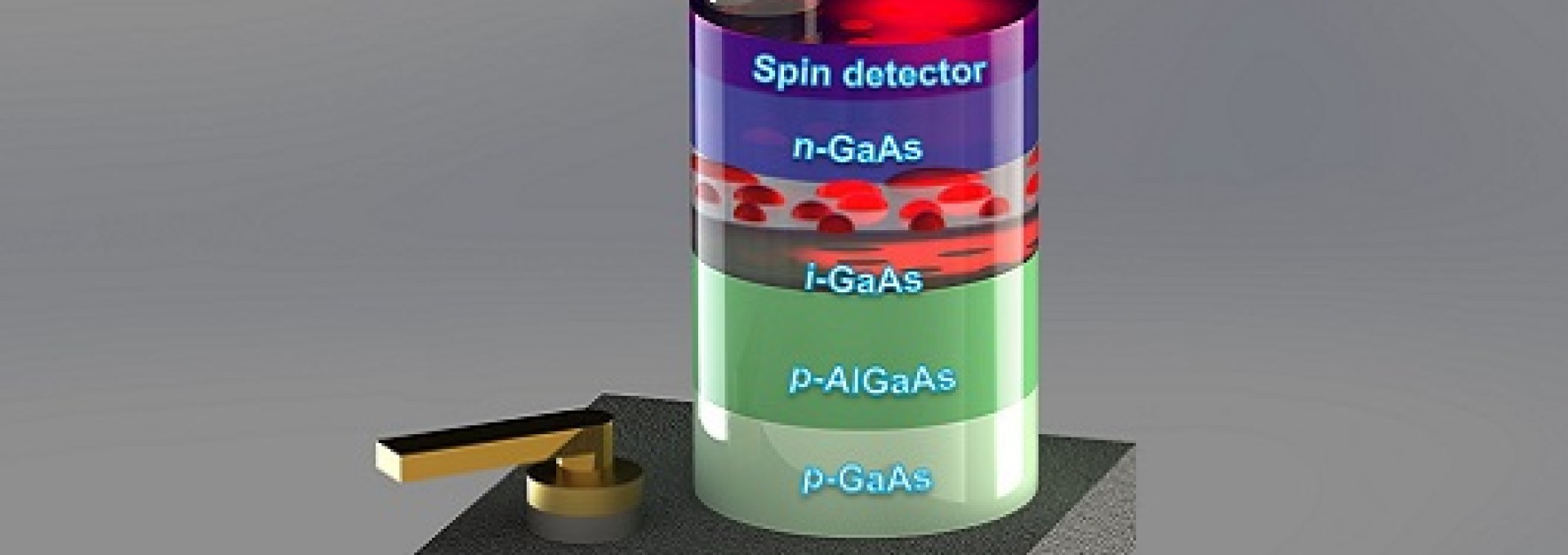 A new step forward for spin photodiode physics and technology