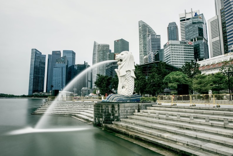 L'X and NUS : 20 years of fruitful collaboration