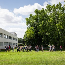 Voie Universitaire (UNIV) - Filière Universitaire Française (FUF)