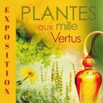 Plantes aux mille vertus