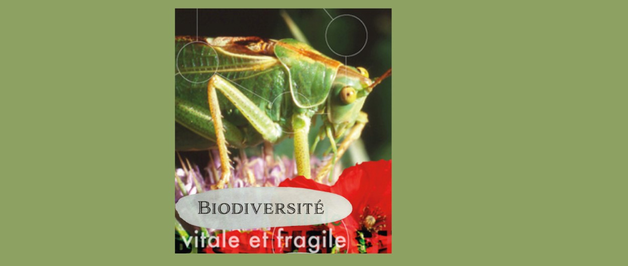 Prolongation de l’exposition "Biodiversité, vitale et fragile"