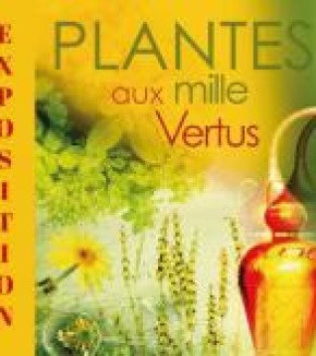 Plantes aux mille vertus