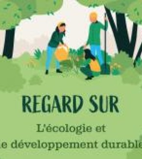 Regard sur "L'écologie et le développement durable"