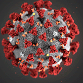 Coronavirus : fermeture de l’X et de la FX