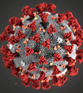 Coronavirus : fermeture de l’X et de la FX