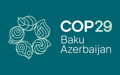 École Polytechnique and global partners highlight the importance of education and training to address climate change at COP29 Side Event