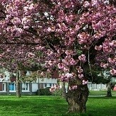 A Campus in Standby