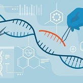 Genetic scissors in the hands of students at the Ecole Polytechnique