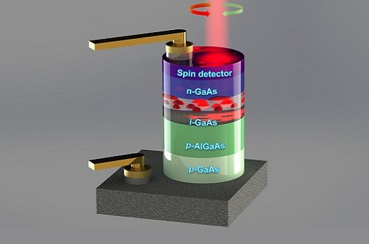 Une avancée pour la physique et la technologie des photodiodes à spin