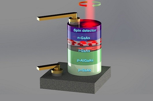 A new step forward for spin photodiode physics and technology