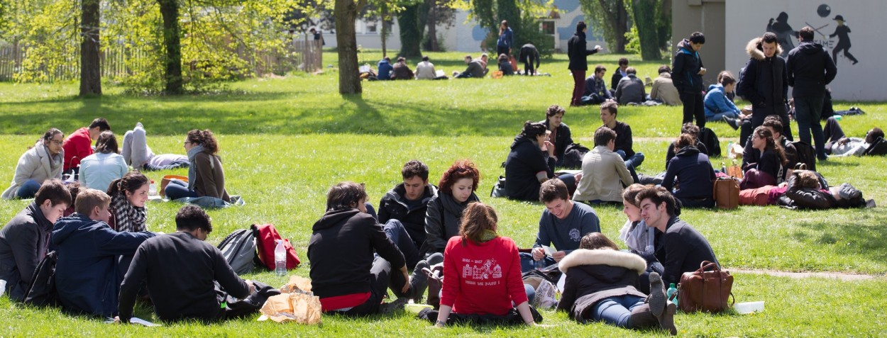 Bachelor : une rentrée sous le signe de la soutenabilité