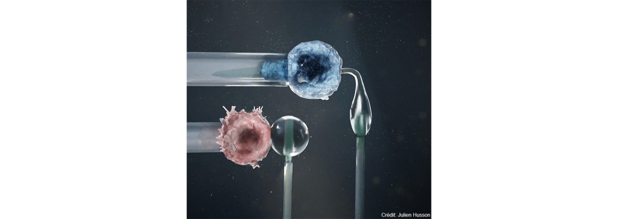 A better understanding of cell mechanical property measures