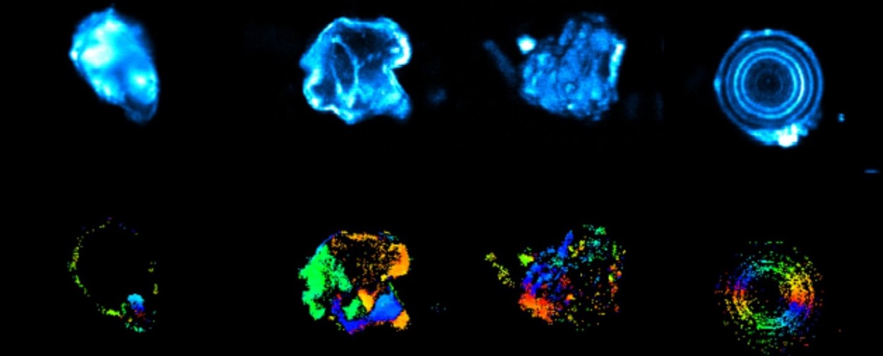 Probing biominerals: two (or three) photons are better than one