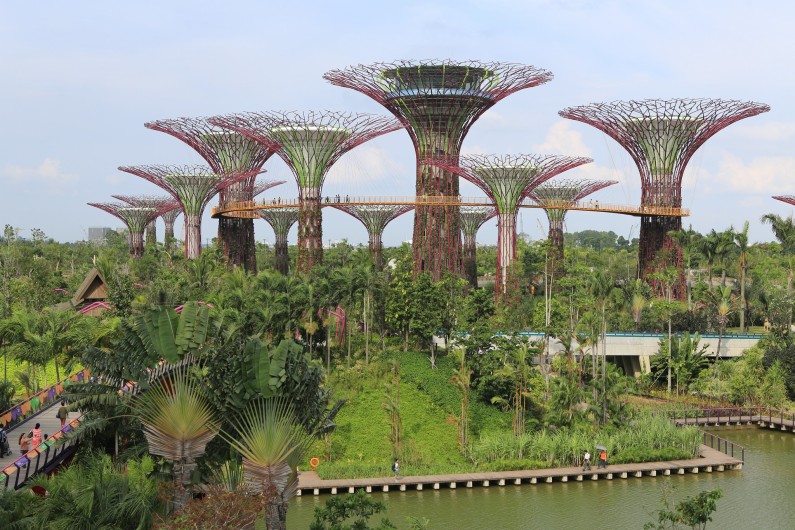 Chairs in Sustainable Development