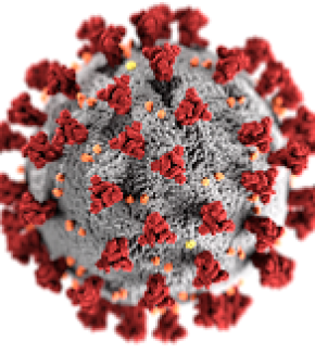 Vers une nouvelle stratégie antivirale contre la covid-19 ?