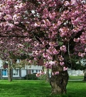 Un campus en veille