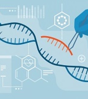 Genetic scissors in the hands of students at the Ecole Polytechnique