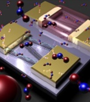 Un capteur de gaz miniature à base de nanotubes de carbones