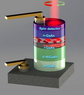Une avancée pour la physique et la technologie des photodiodes à spin