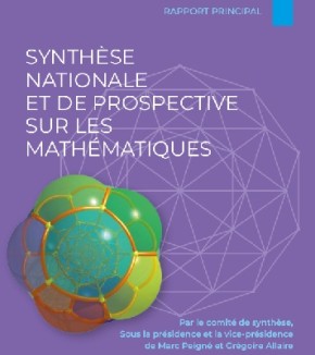 Le comité Hcéres sur la synthèse nationale mathématique co-présidé par Grégoire Allaire, professeur à l'X