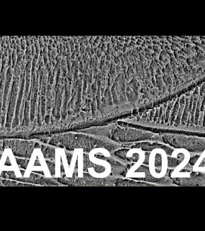 La conférence internationale AAMS 2024 à l'X du 4 au 6 septembre 2024.