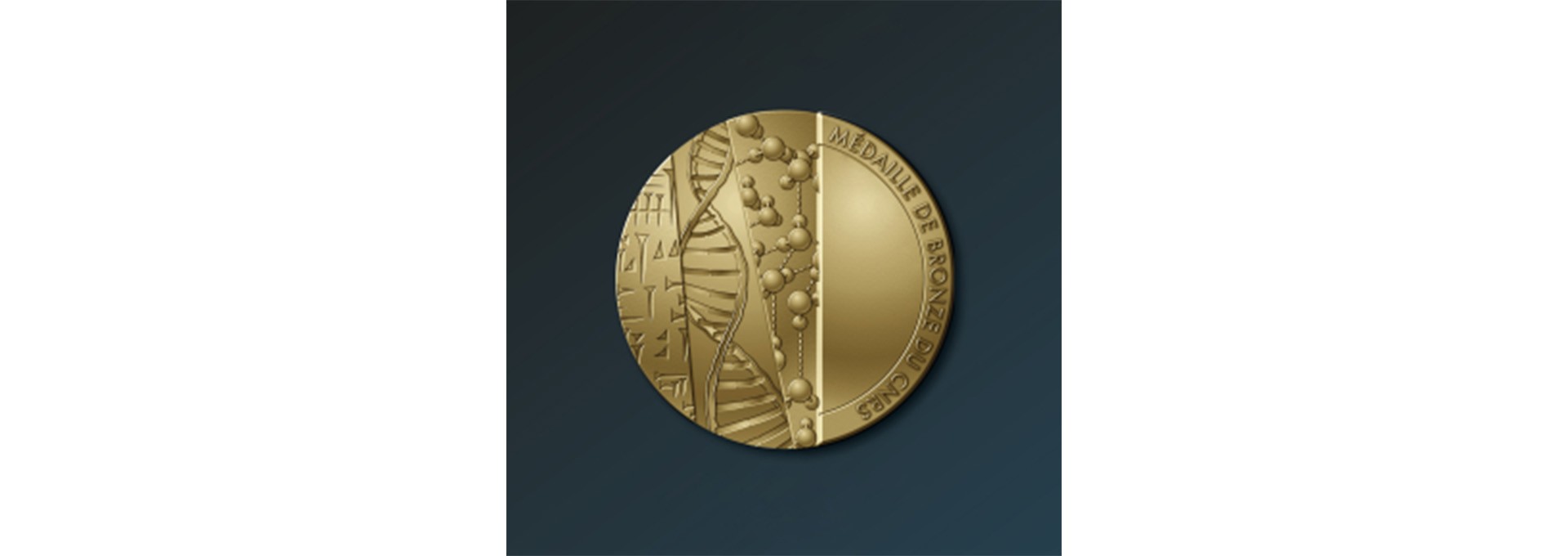 Cinq chercheurs de l’X et d'IP Paris récompensés par la médaille de bronze du CNRS