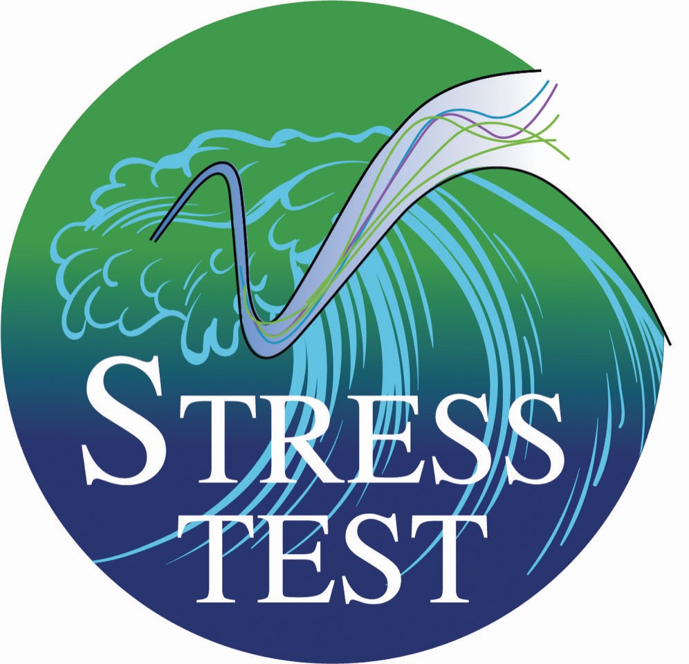 Logo de la Chaire "Stress-test: risk management and financial steering"