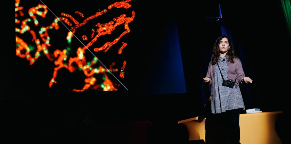 Conférence, intitulée "4 voix, 4 sciences, 4 intelligences" 