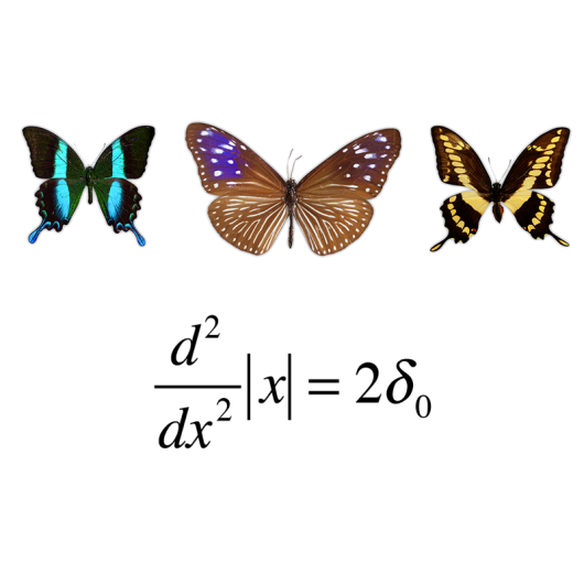 INTRODUCTION TO DISTRIBUTION THEORY