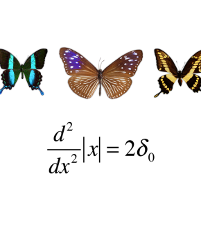 INTRODUCTION TO DISTRIBUTION THEORY